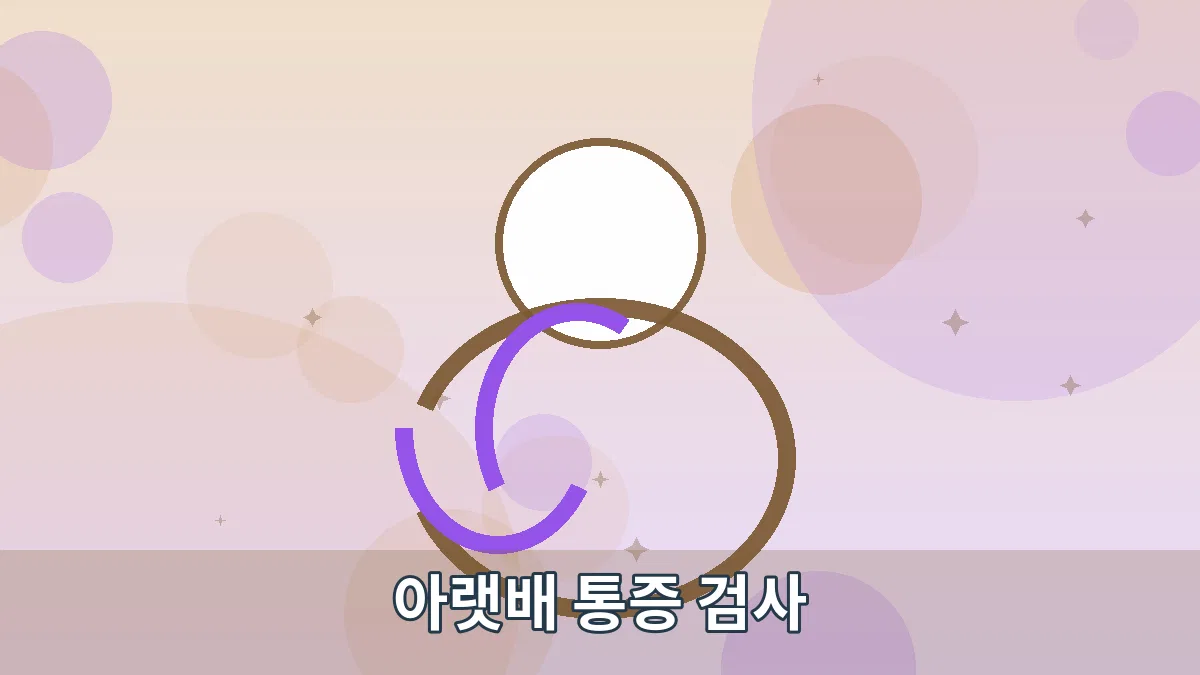 아랫배 통증 검사 안내 이미지 4