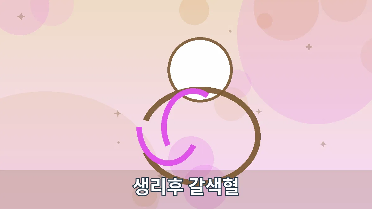 생리후 갈색혈 안내 이미지 5