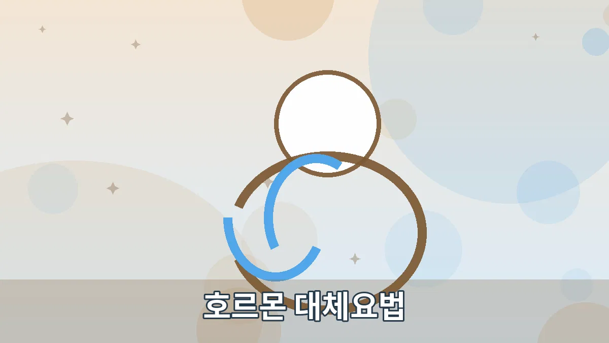 호르몬 대체요법 안내 이미지 2