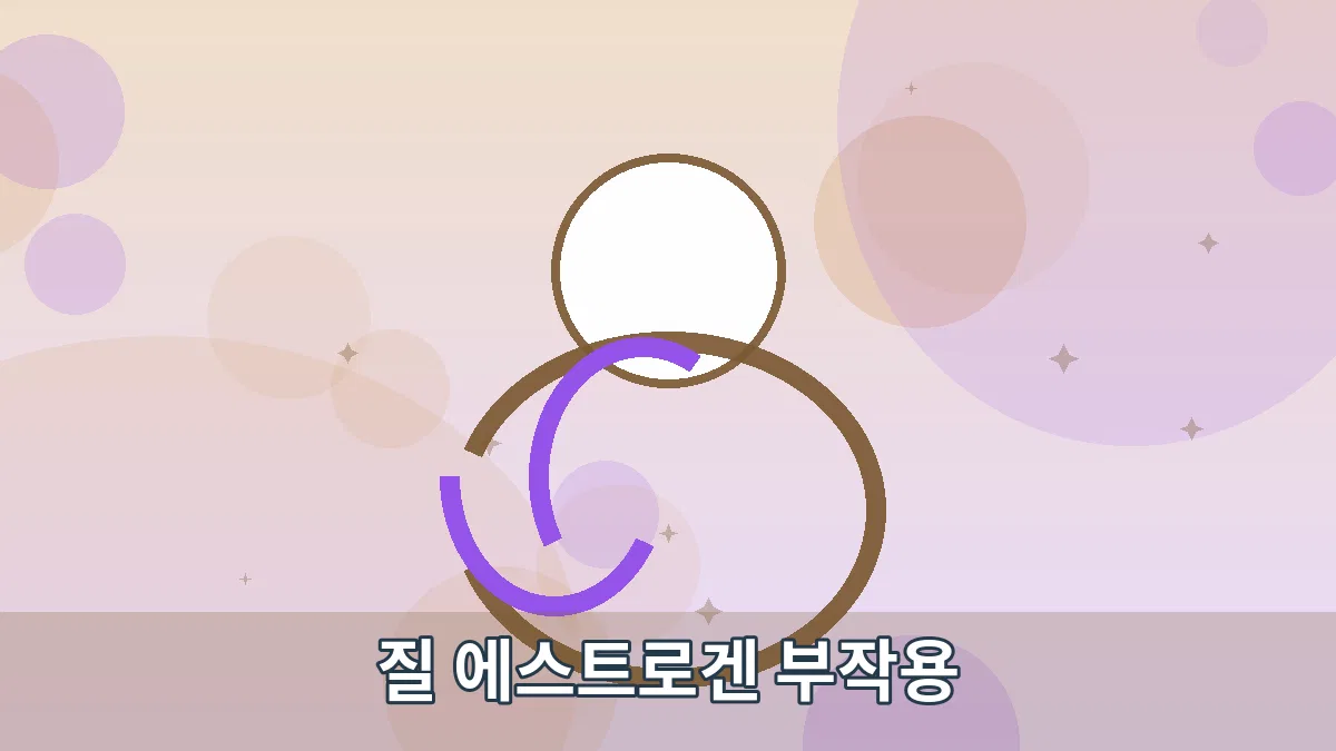 질 에스트로겐 부작용 안내 이미지 4