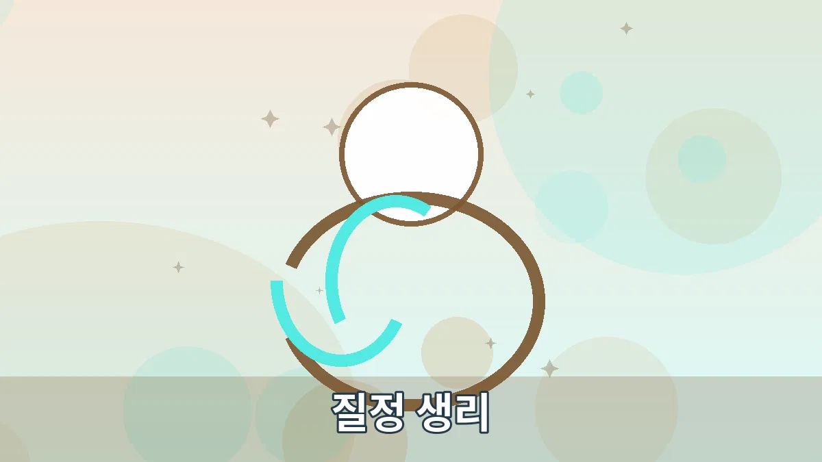 질정 생리 안내 이미지 1