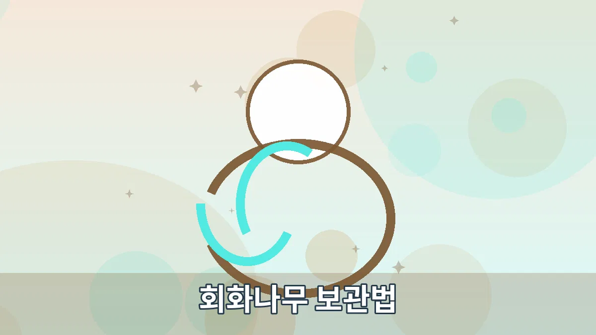 회화나무 보관법 안내 이미지 1
