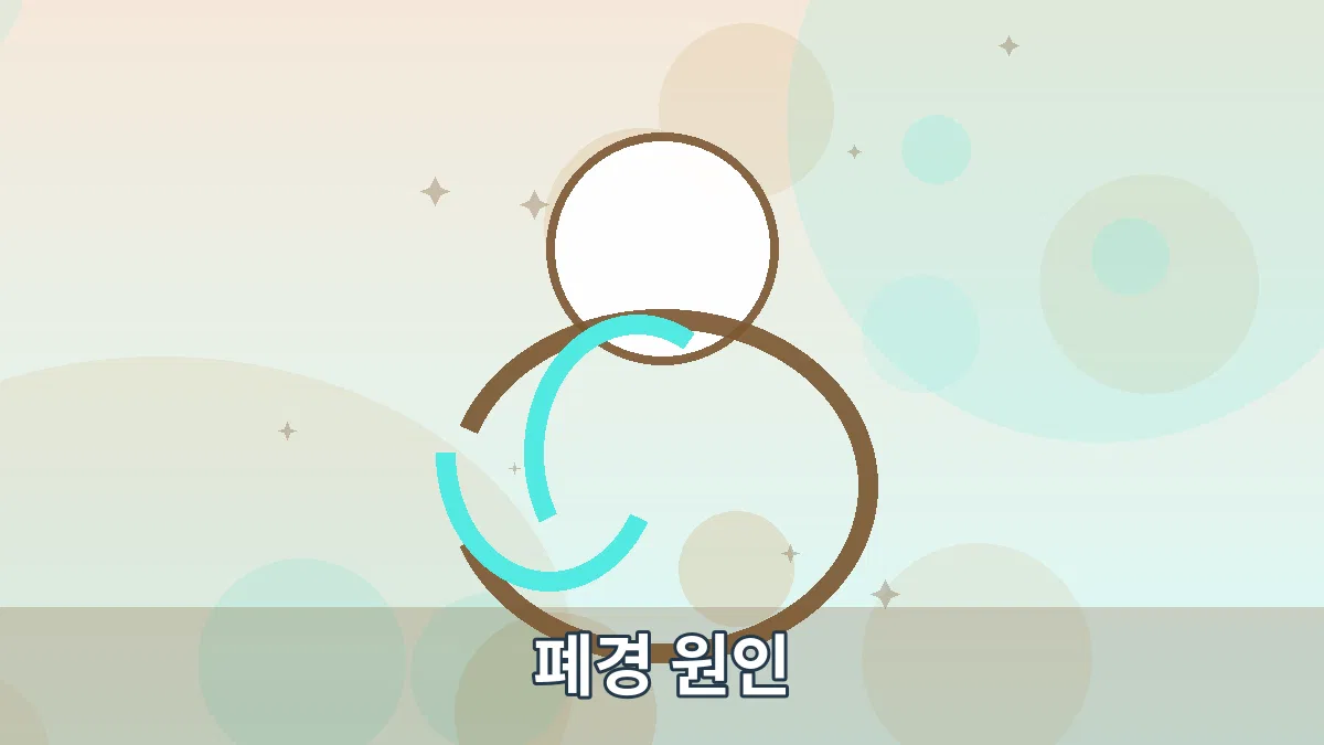 폐경 원인 안내 이미지 1