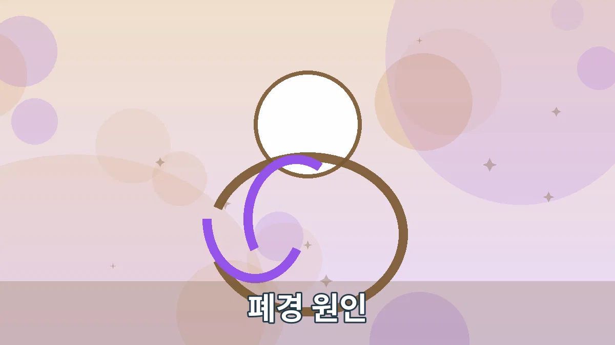 폐경 원인 안내 이미지 4