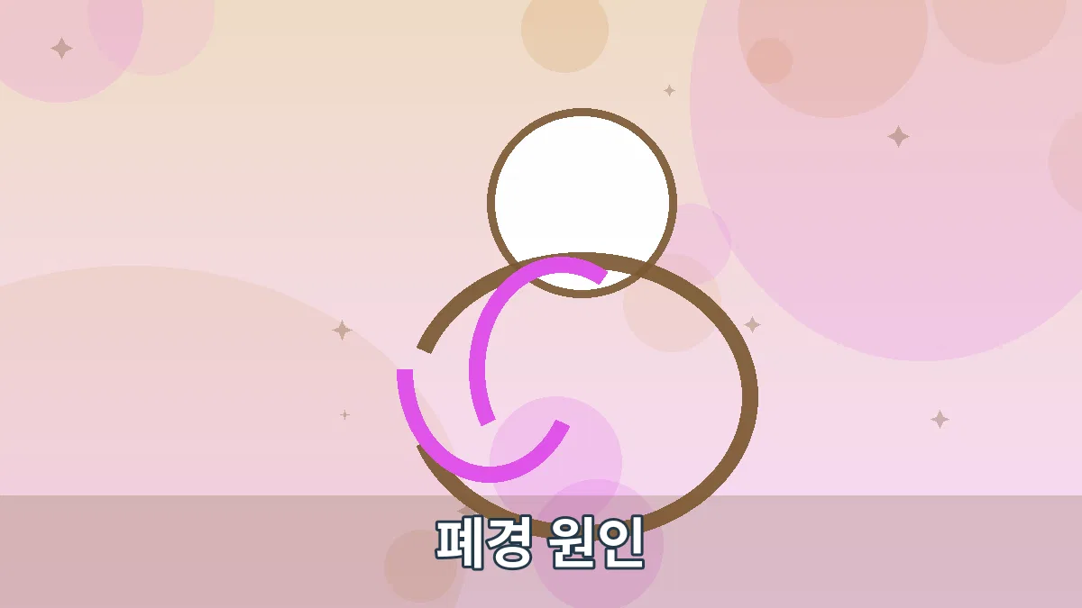 폐경 원인 안내 이미지 5